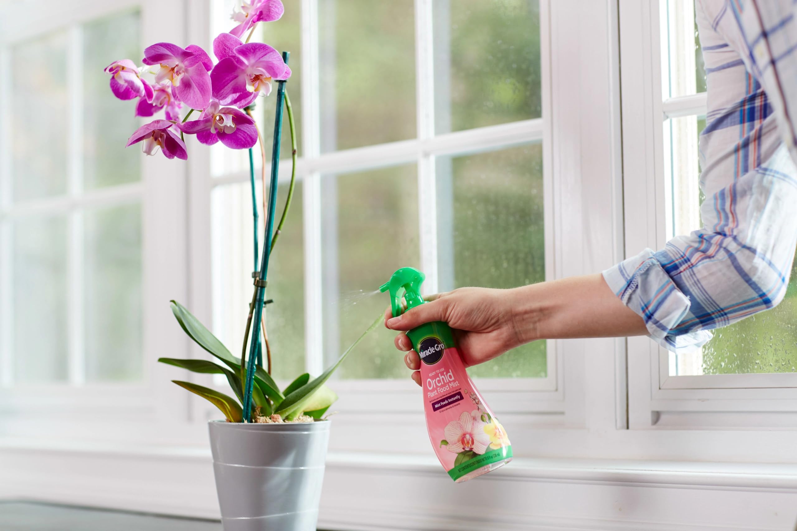 Miracle-Gro aplicación sobre sustrato y raíces para nutrición directa