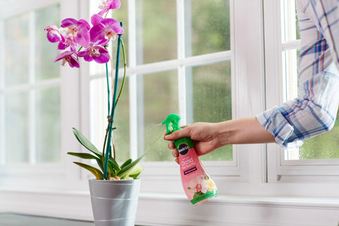 Miracle-Gro aplicación sobre sustrato y raíces para nutrición directa