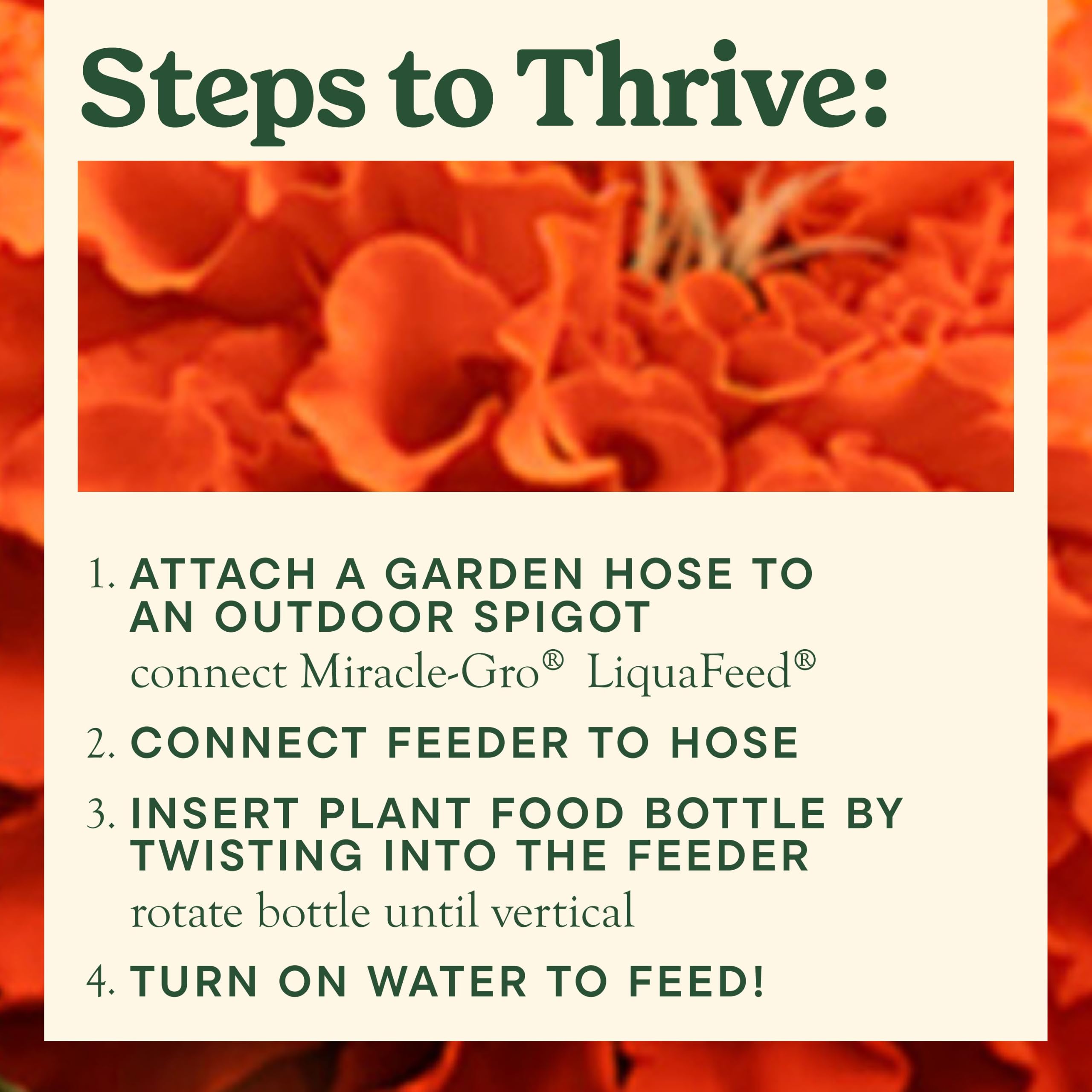 Miracle-Gro kit con tres botellas de 16 fl oz alineadas, muestra cantidad incluida