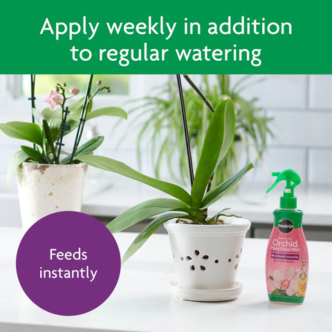 Miracle-Gro junto a Orchid Potting Mix mostrando combinación ideal para orquídeas