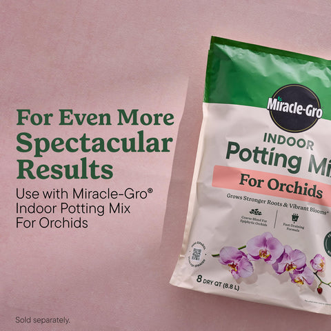 Miracle-Gro comparación antes y después con mejor vigor
