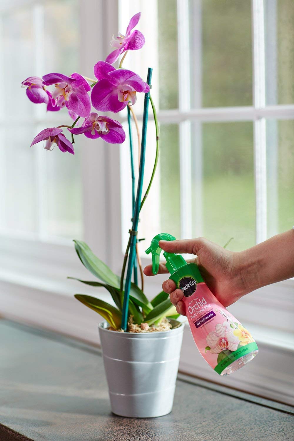 Miracle-Gro botella 8 oz junto a objeto para comparar tamaño y portabilidad