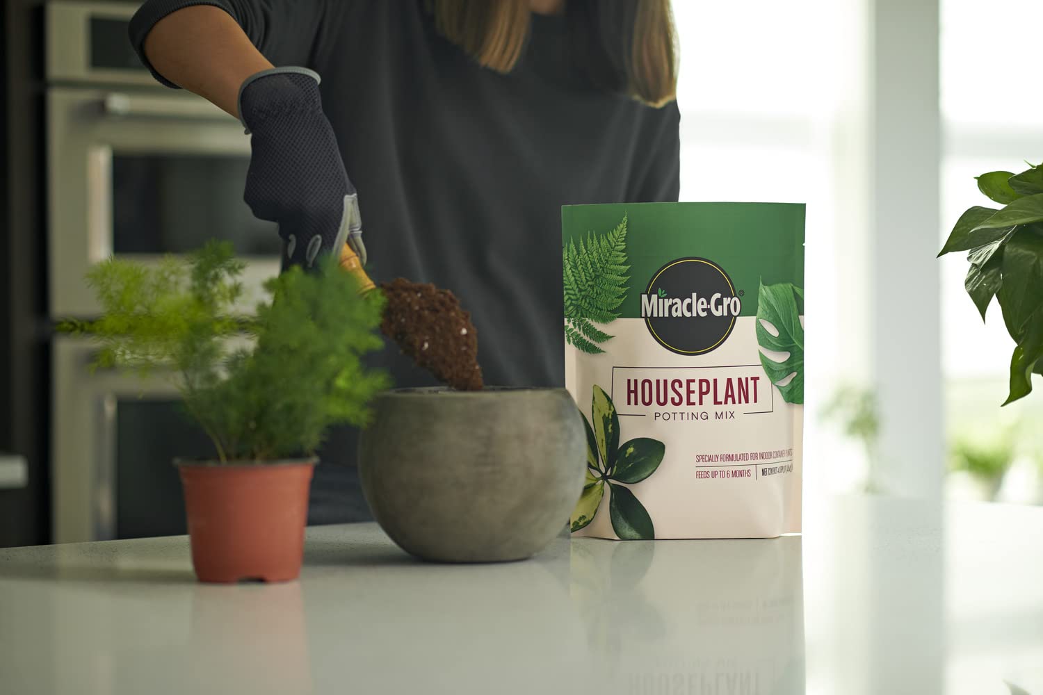 Miracle-Gro bolsa junto a maceta de 8" para referencia de volumen