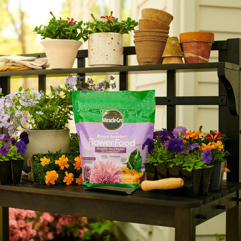 Miracle-Gro comparación de tamaño del envase junto a una regla