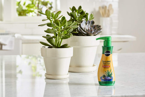 Miracle-Gro etiqueta cercana que indica uso para suculentas y cactus
