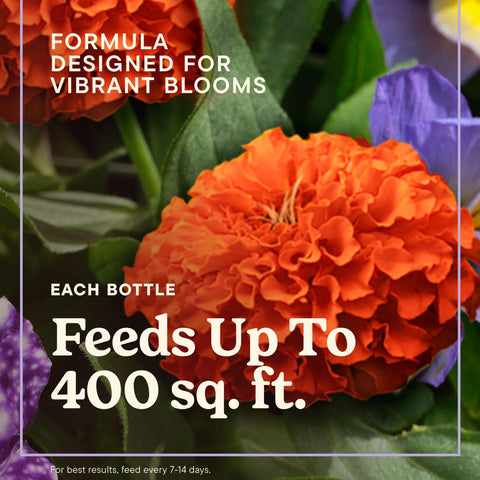 Miracle-Gro etiqueta All Purpose en detalle, identifica uso universal para plantas