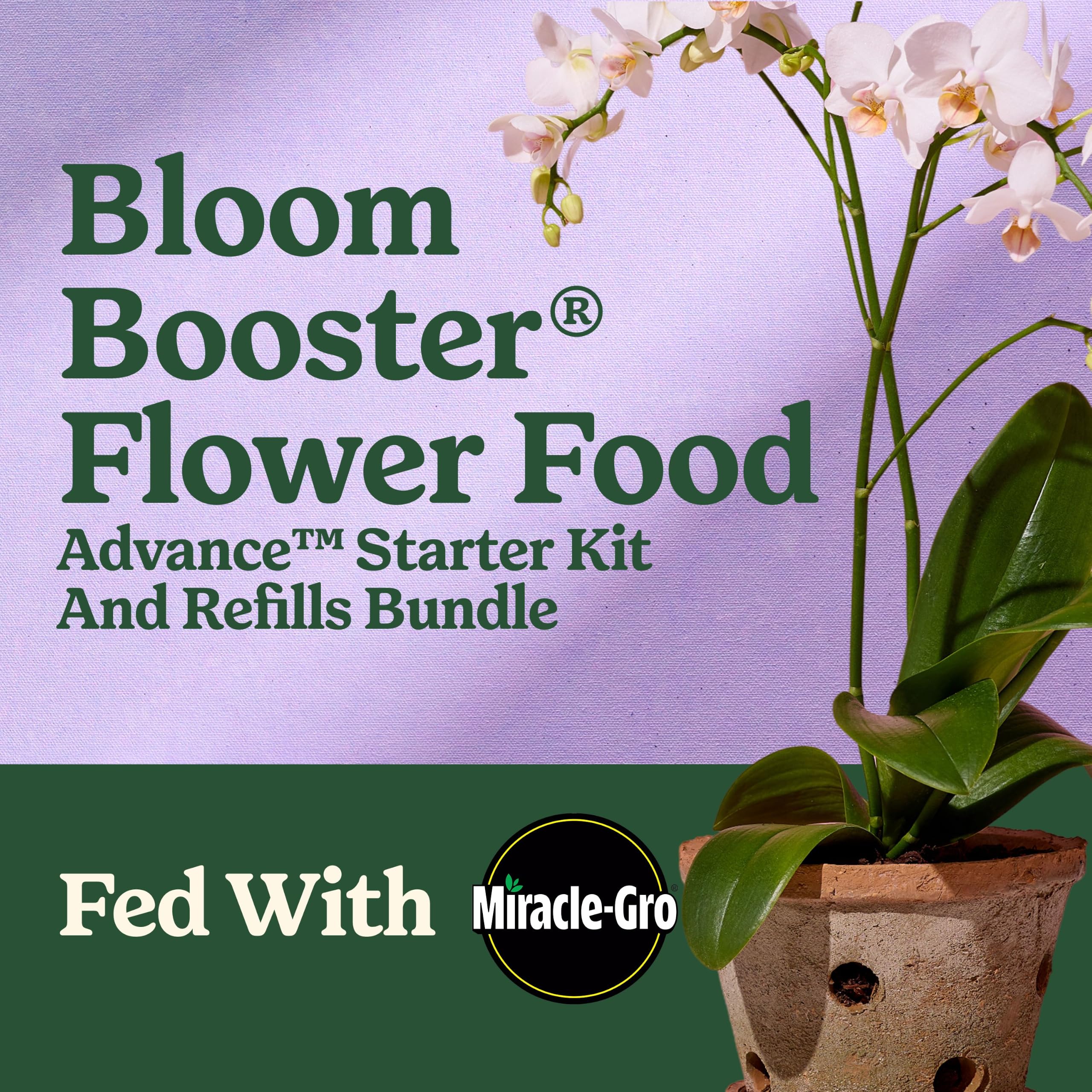 Miracle-Gro etiqueta Bloom Booster en primer plano, visualiza producto orientado a floración