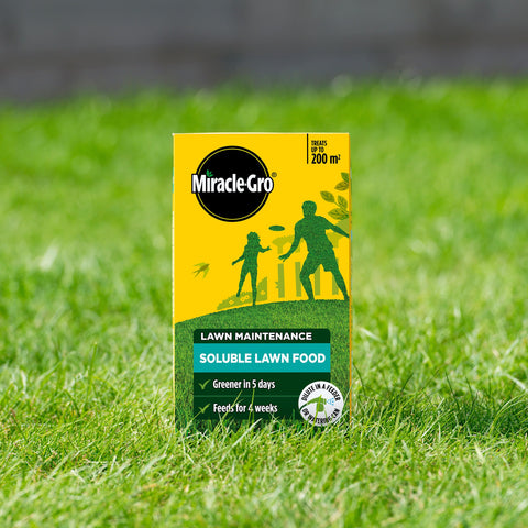 Miracle-Gro textura del polvo soluble demostrando disolución fácil