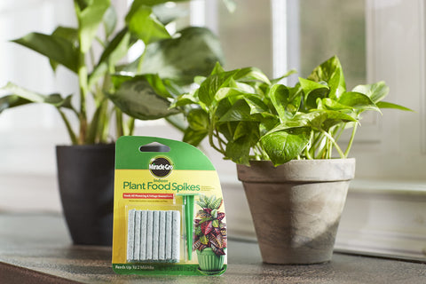 Miracle-Gro detalle de la varilla y su textura para inserción fácil