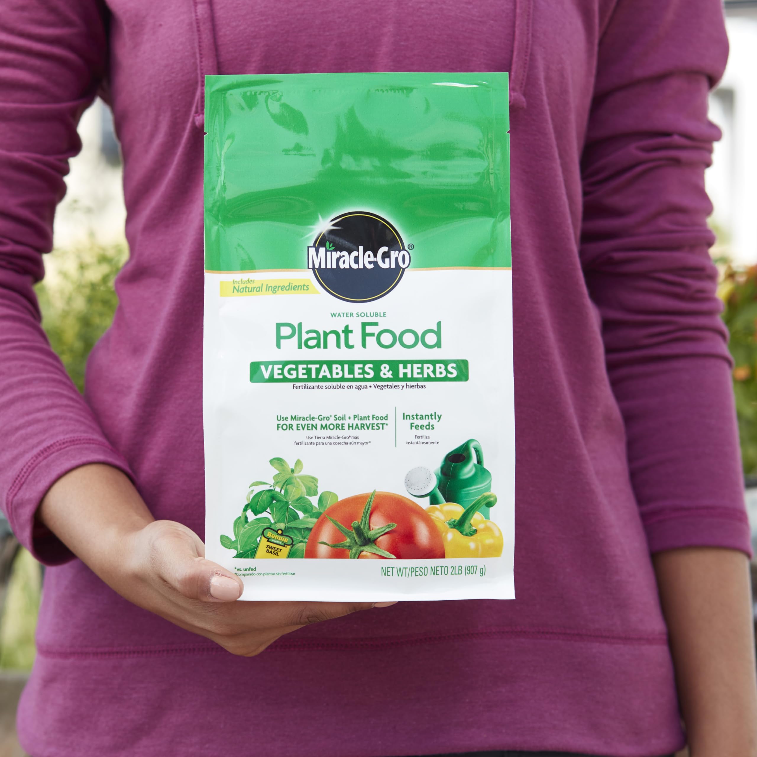 Miracle-Gro solución disolviéndose en regadera para aplicación fácil