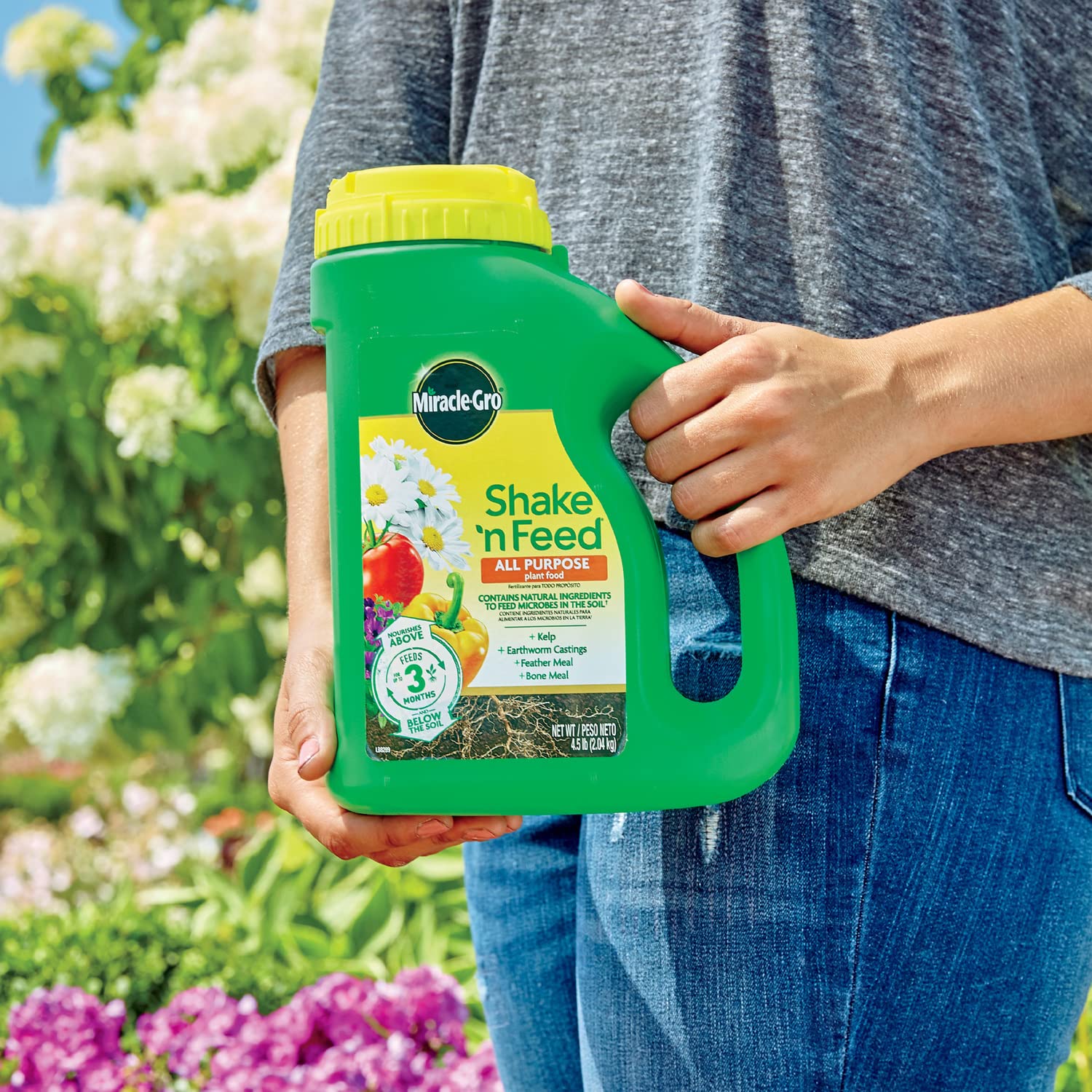 Miracle-Gro aplicado en maceta para plantas interiores con mejor crecimiento