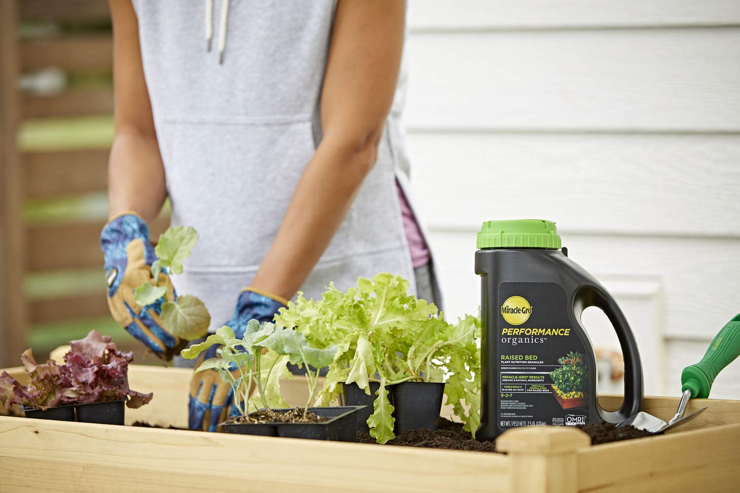 Miracle-Gro aplicado en una cama elevadaa y plantas más vigorosas