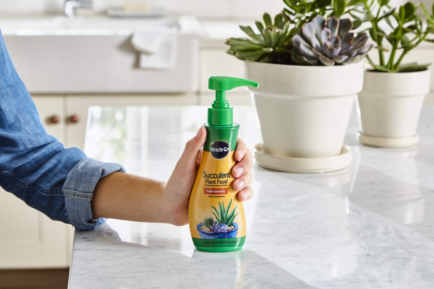 Miracle-Gro aplicado en maceta de aloe mostrando planta saludable