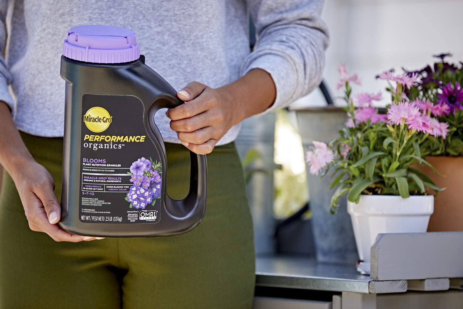 Miracle-Gro aplicado en maceta promoviendo más flores visibles