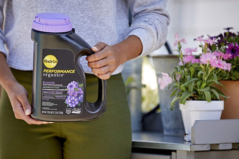 Miracle-Gro aplicado en maceta promoviendo más flores visibles