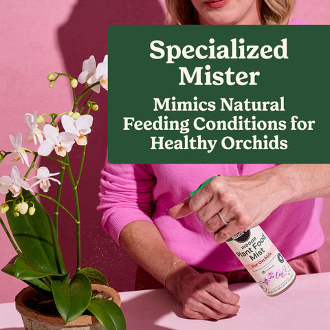 Miracle-Gro en uso al repotar una orquídea para raíces más sanas