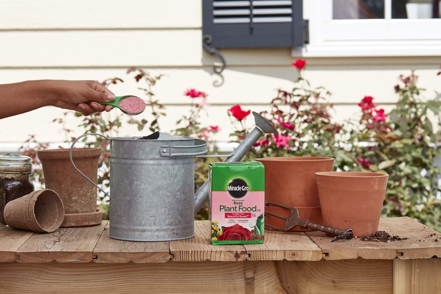 Miracle-Gro aplicando solución con regadera en maceta interior, resultados rápidos