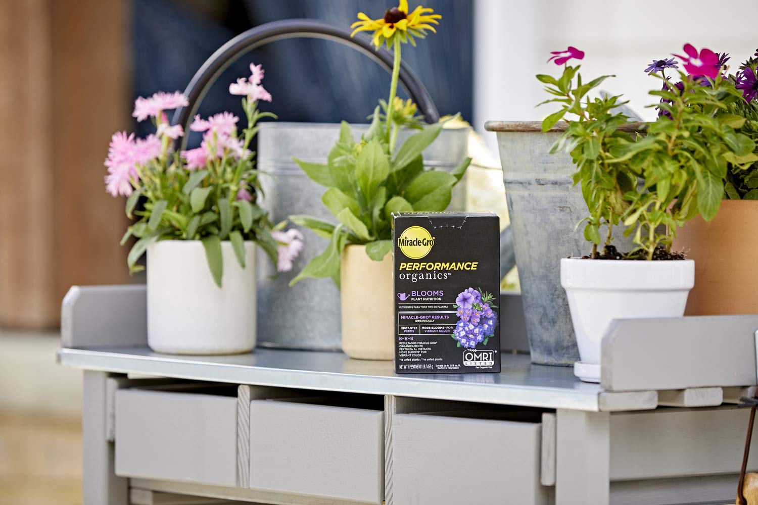 Miracle-Gro aplicación con regadera facilita alimentación semanal de flores