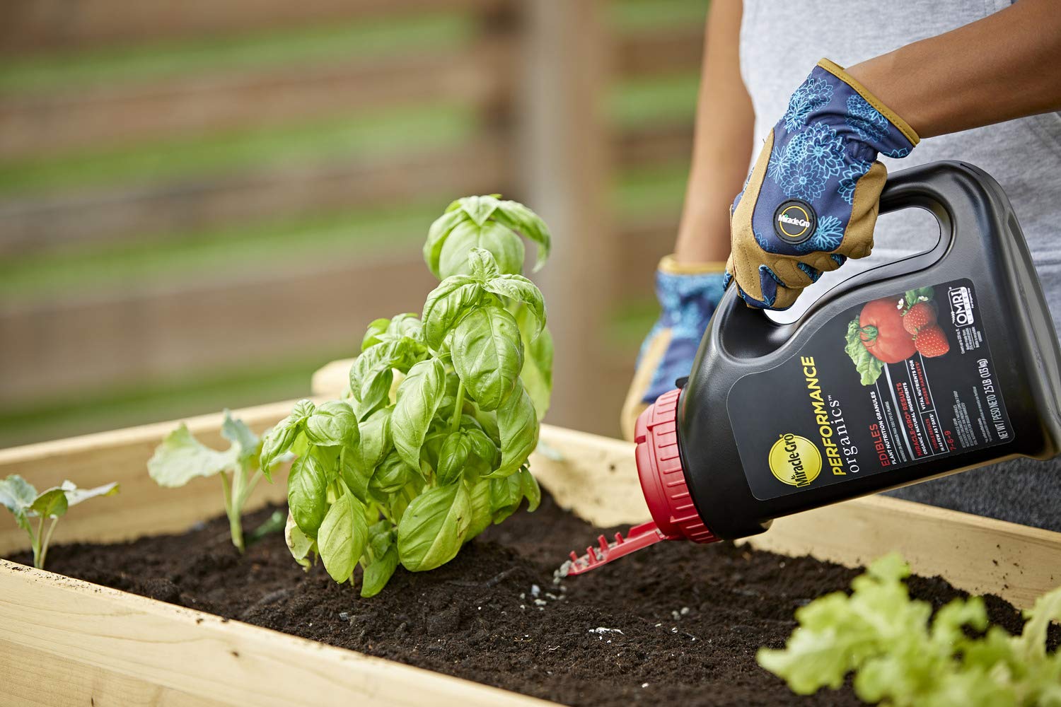 Miracle-Gro en huerto urbano con tomates y hierbas demostrando rendimiento