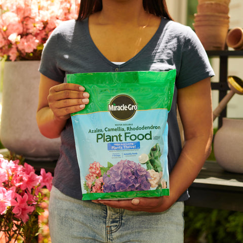 Miracle-Gro envase 5 lb junto a una regla para comparar tamaño y rendimiento