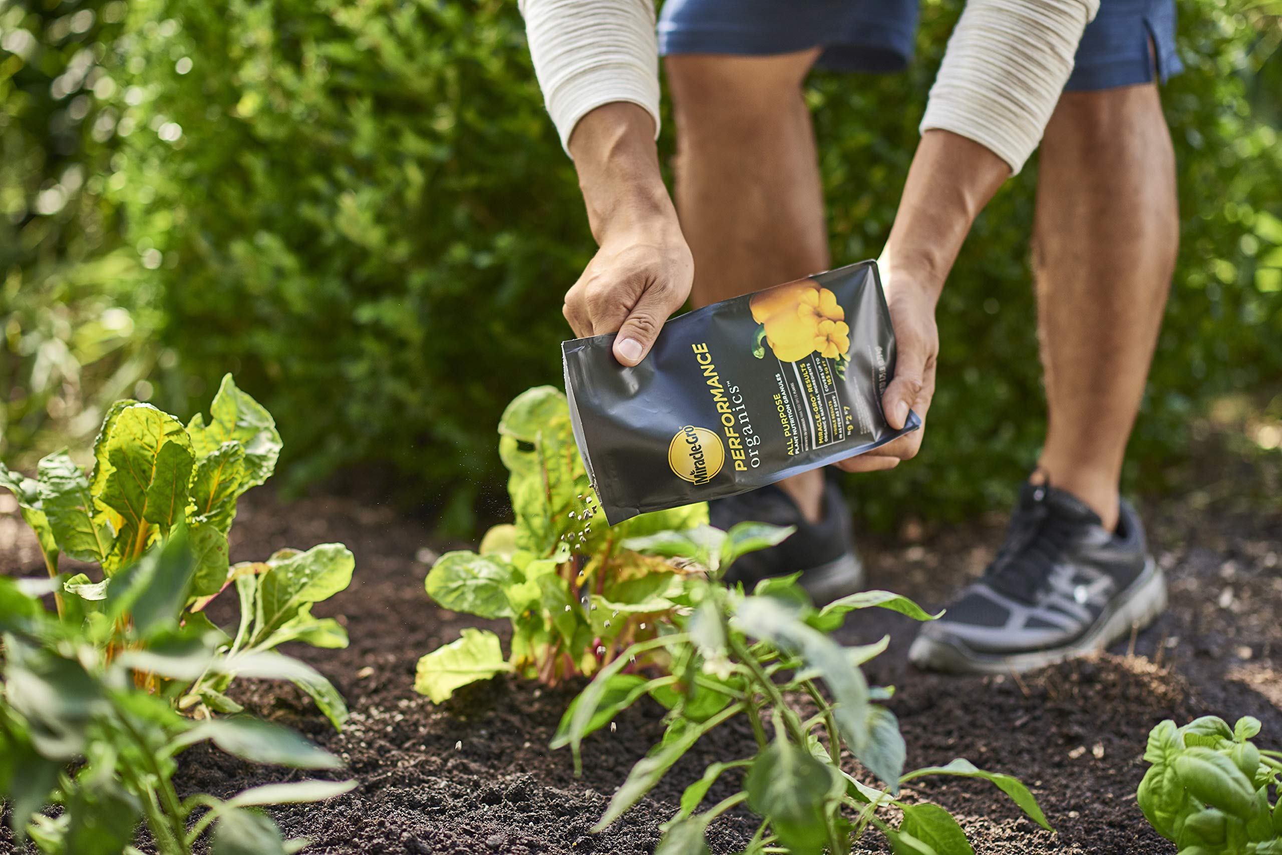 Miracle-Gro comparación de tamaño, visualiza cantidad y escala de la bolsa