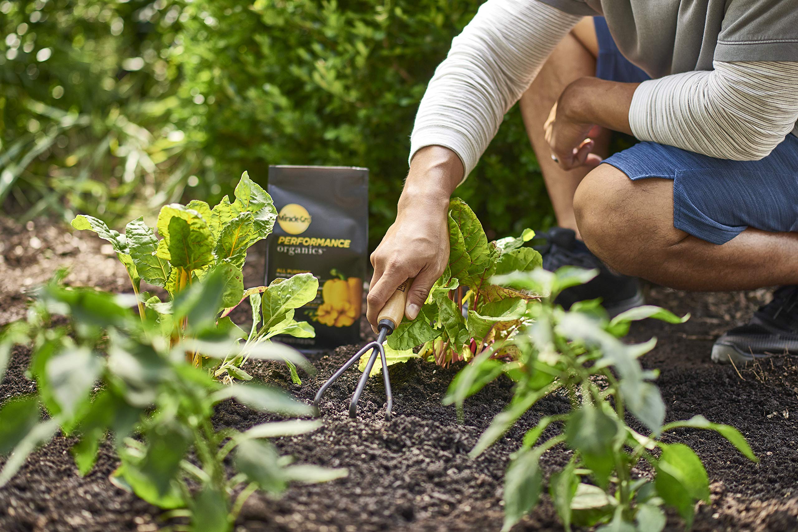 Miracle-Gro etiqueta con ingredientes, aclara información nutricional