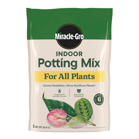 Miracle-Gro botella de fertilizante en primer plano facilitando aplicación directa