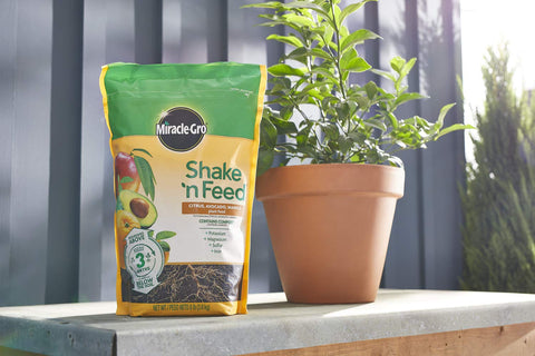 Miracle-Gro en jardín con árbol cítrico ilustrando uso real y frutos más sanos