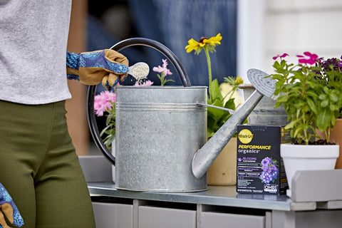 Miracle-Gro jardín con flores más abundantes tras uso regular