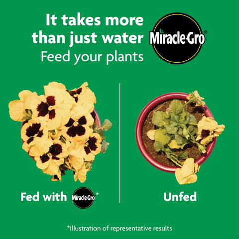 Miracle-Gro jardín con flores vibrantes tras uso regular del fertilizante