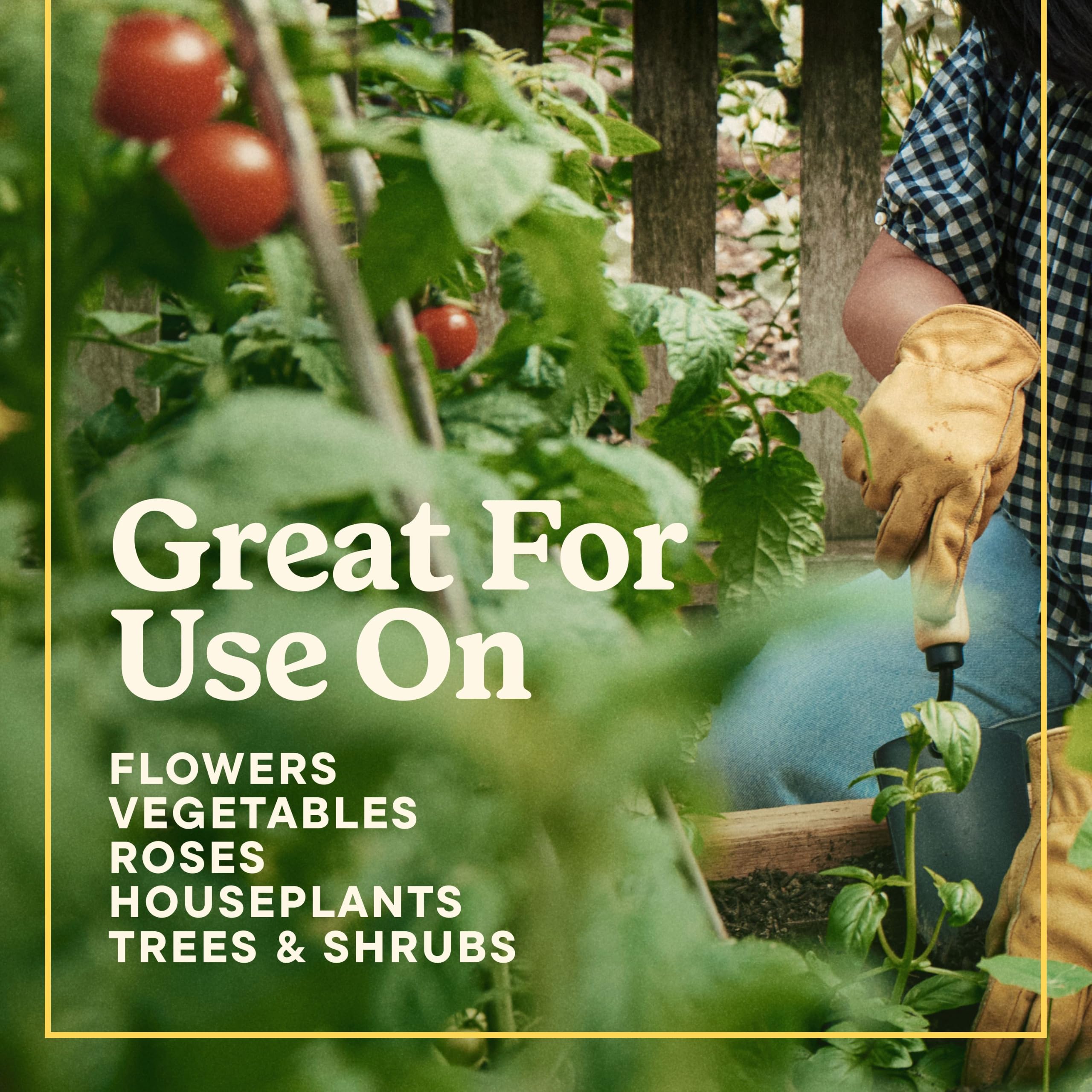 Miracle-Gro uso en huerto urbano con verduras, práctica nutrición regular