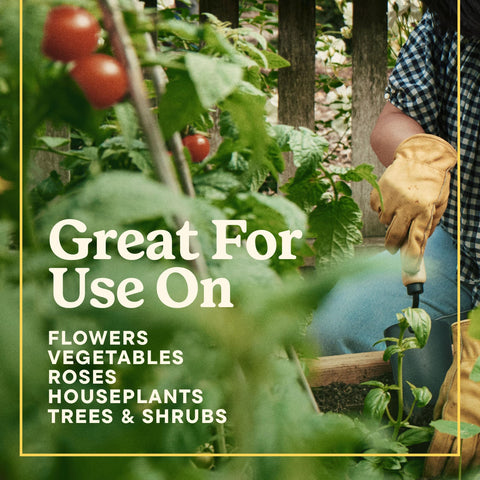 Miracle-Gro uso en huerto urbano con verduras, práctica nutrición regular
