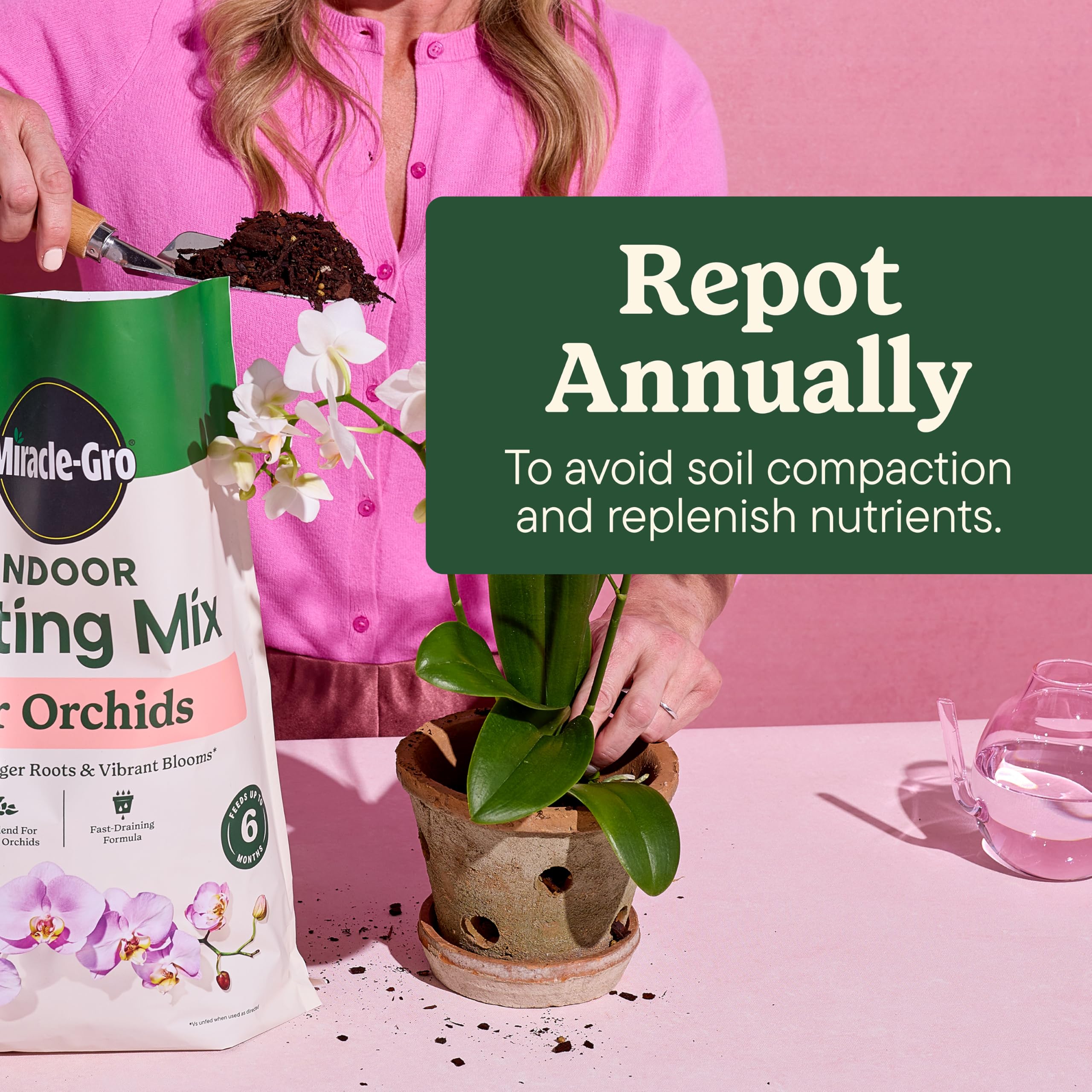 Miracle-Gro comparación maceta antes y después mejora del sustrato