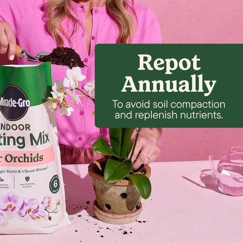 Miracle-Gro comparación maceta antes y después mejora del sustrato