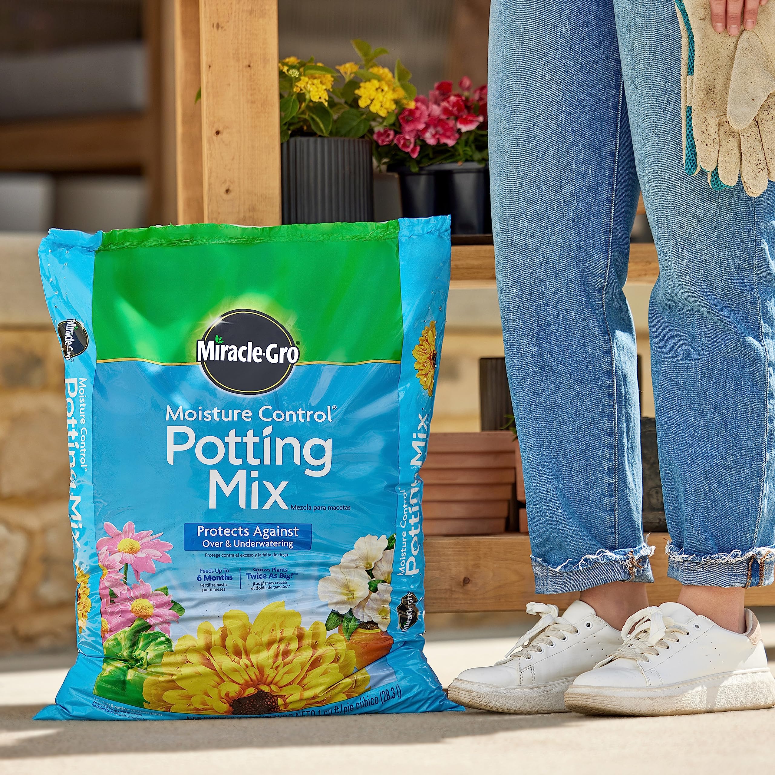 Miracle-Gro maceta plantada demostrando crecimiento sano