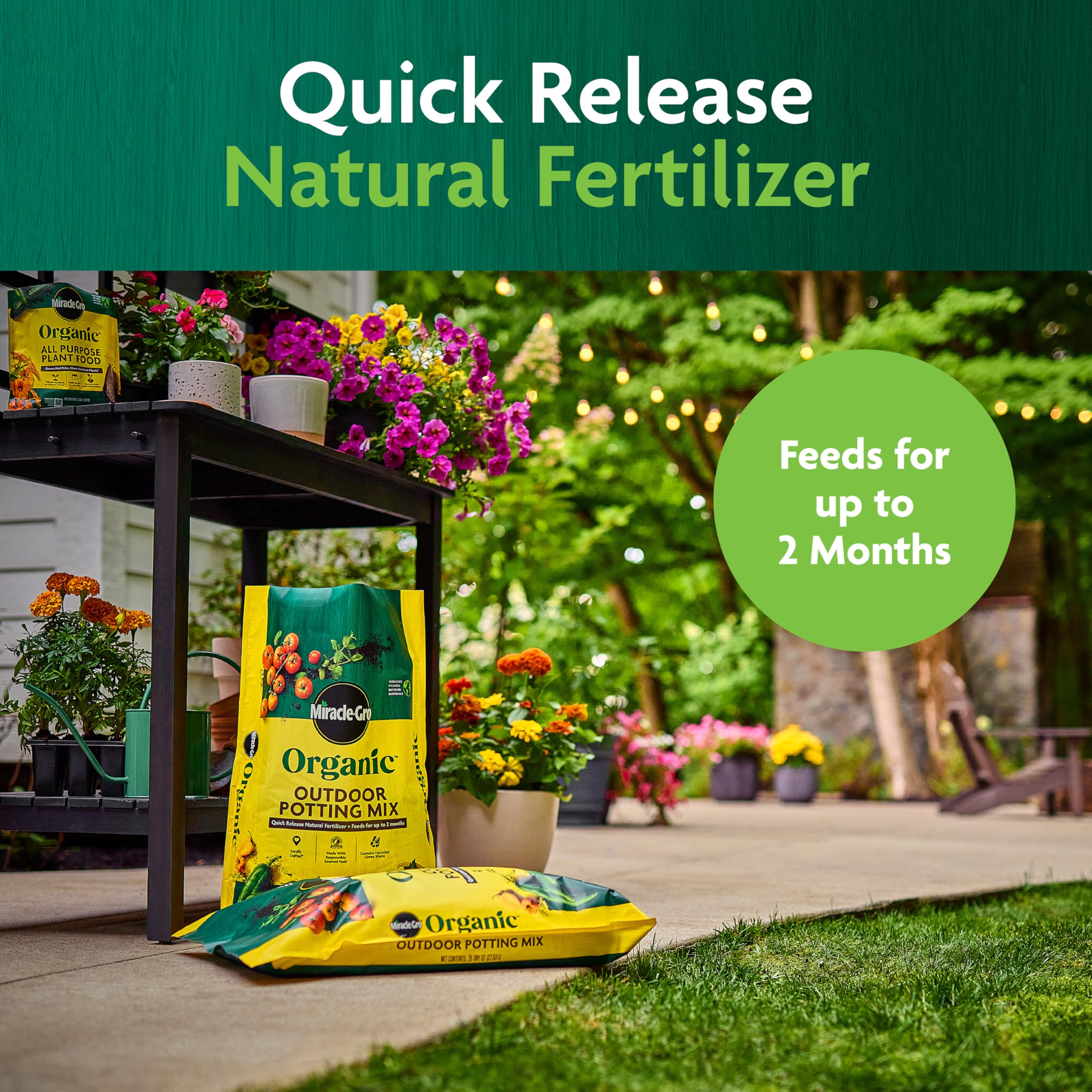 Miracle-Gro planta en maceta trasplantada con mezcla nutritiva