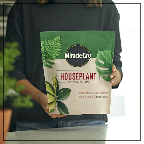 Miracle-Gro trasplante en maceta demostrando uso fácil y resultado inmediato