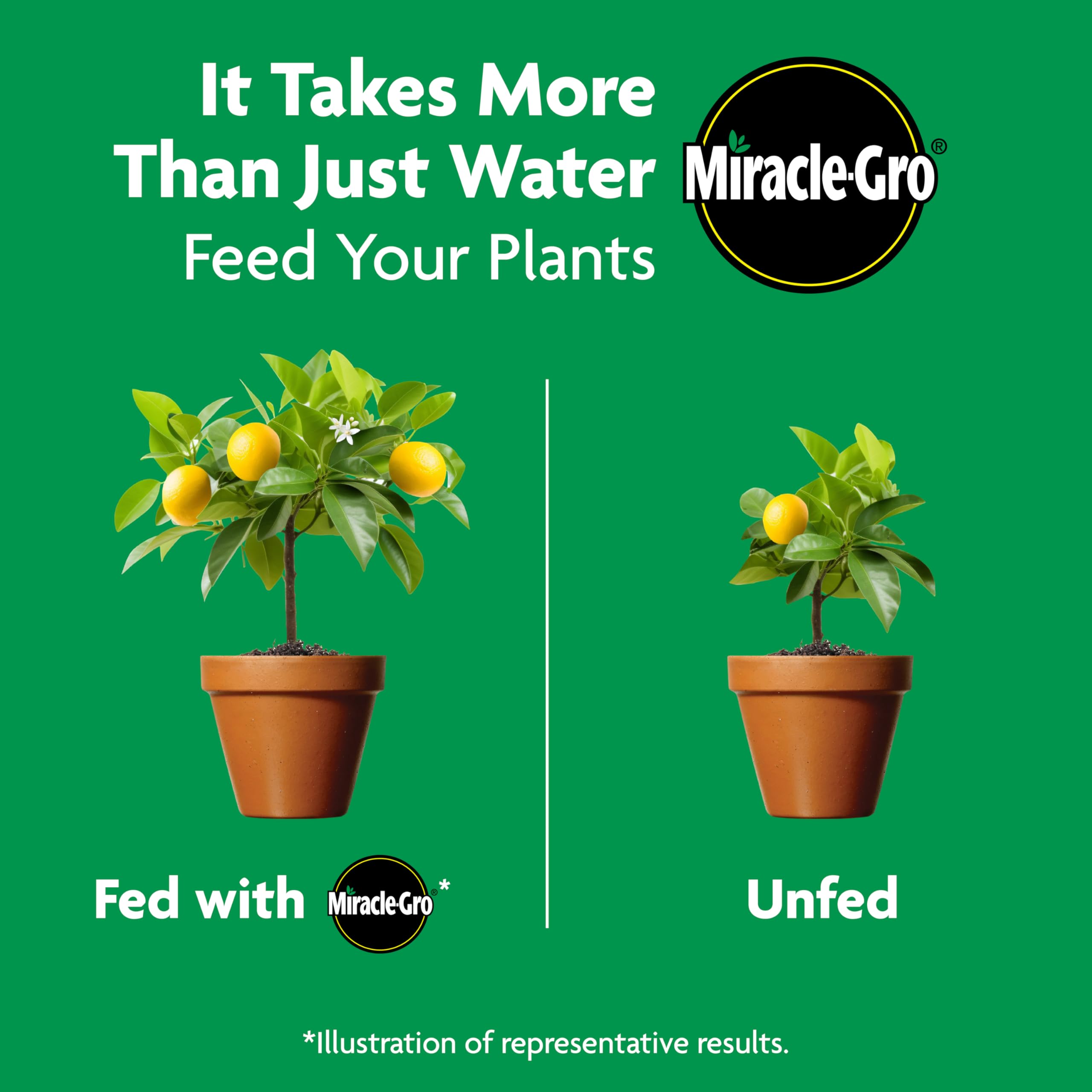Miracle-Gro uso seguro con guantes durante la aplicación en maceta