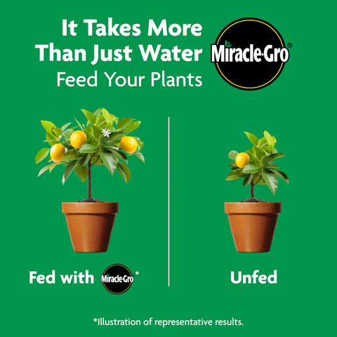 Miracle-Gro uso seguro con guantes durante la aplicación en maceta