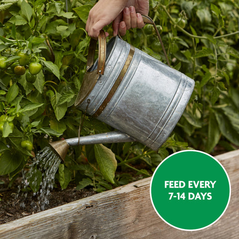 Miracle-Gro manos del jardinero alimentando planta para crecimiento más abundante