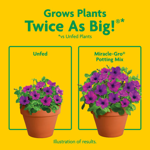 Miracle-Gro comparación con regla para maceta de 12 pulgadas