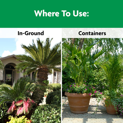 Miracle-Gro junto a palmera en jardín mostrando hojas verdes saludables