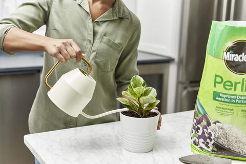 Miracle-Gro perlite bolsas almacenadas listos para uso prolongado