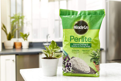 Miracle-Gro perlite mezclada en maceta mejorando drenaje