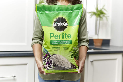 Miracle-Gro perlite en contenedor con esquejes facilitando enraizado