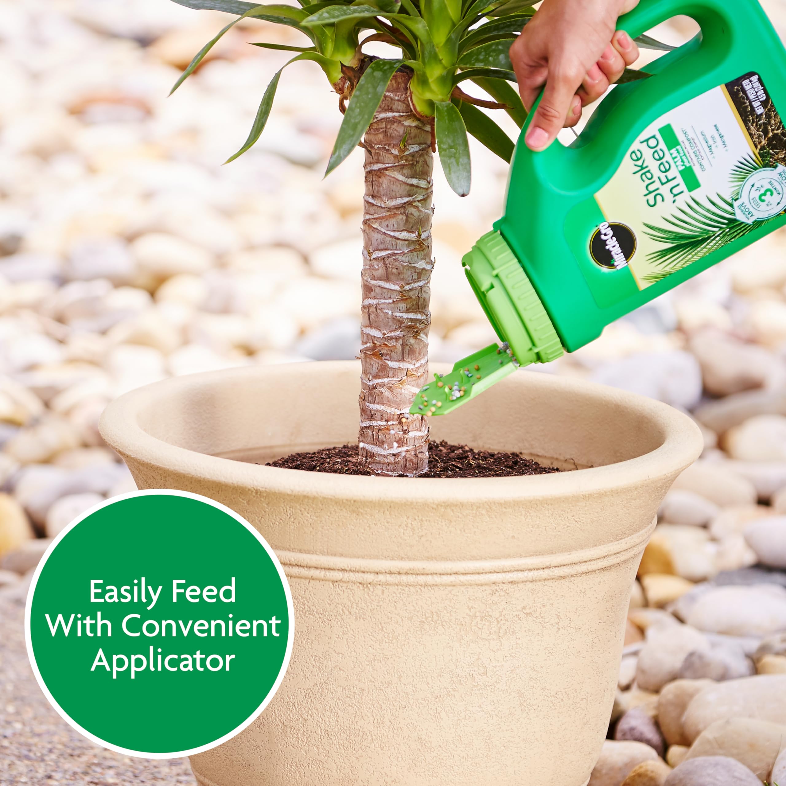 Miracle-Gro nutritivo junto a una palmera tropical saludable en jardín