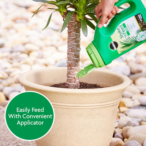 Miracle-Gro nutritivo junto a una palmera tropical saludable en jardín