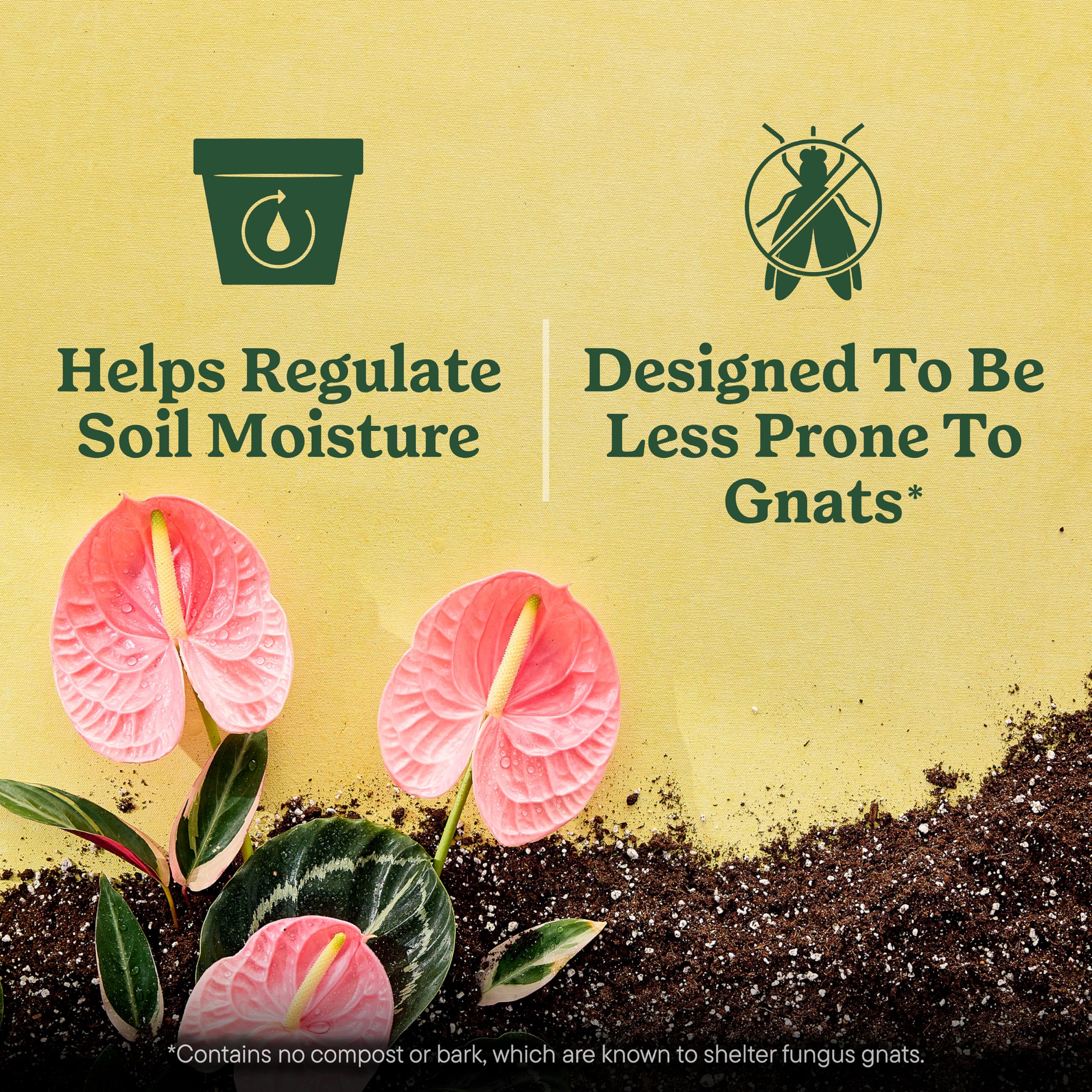Miracle-Gro plantas de follaje creciendo sanas, promueve vigor vegetal