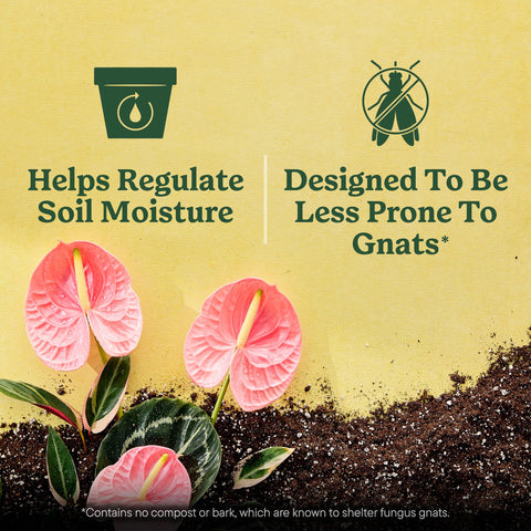 Miracle-Gro plantas de follaje creciendo sanas, promueve vigor vegetal