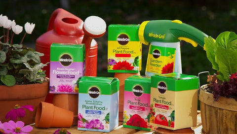 Miracle-Gro polvo soluble en primer plano que facilita mezcla y absorción